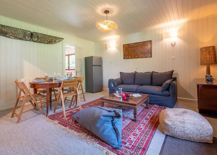 Cocooning Small Chaming With Garden Chalet Chamonix